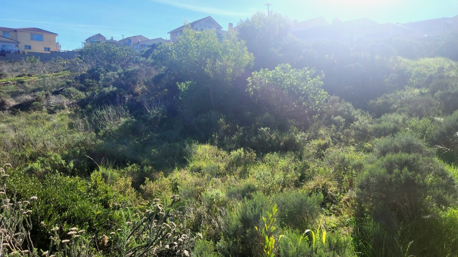 0 Bedroom Property for Sale in Seemeeu Park Western Cape